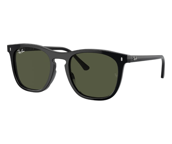 Rayban_Sunglasses_2210_901/31_53_30