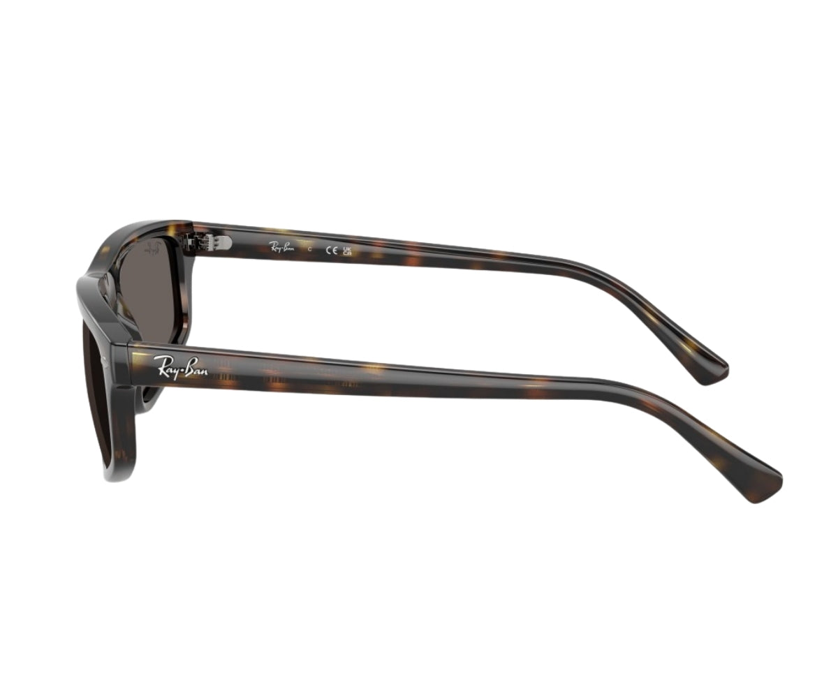 Rayban_Sunglasses_2225_710/B1_57_90