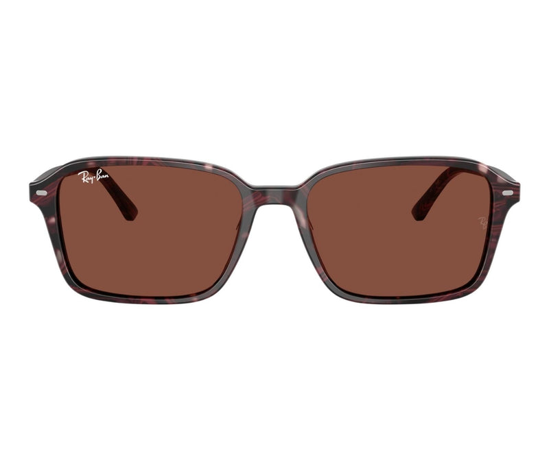 Rayban_Sunglasses_Raimond_2231_1416/C5_56_0