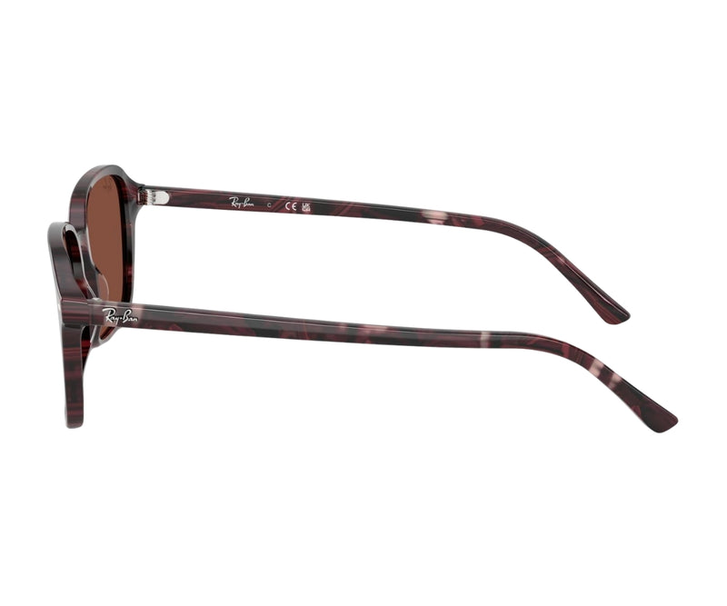 Rayban_Sunglasses_Raimond_2231_1416/C5_56_90