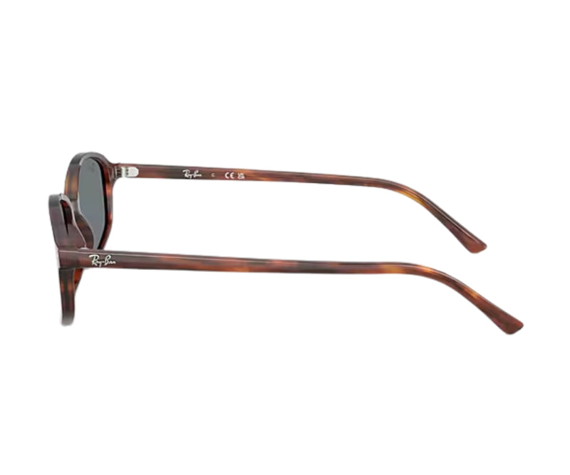 Rayban_Sunglasses_Sam_2232_954/62_56_90