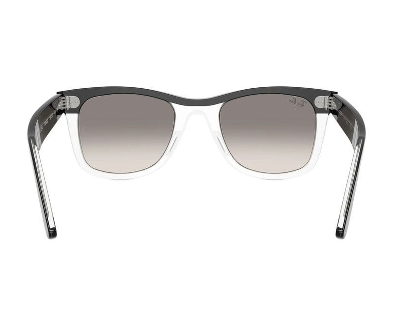 Rayban_Sunglasses_Wayfarer_2240_1294/32_50_back lens