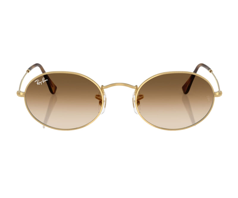 Rayban_Sunglasses_3547_001/51_51_0