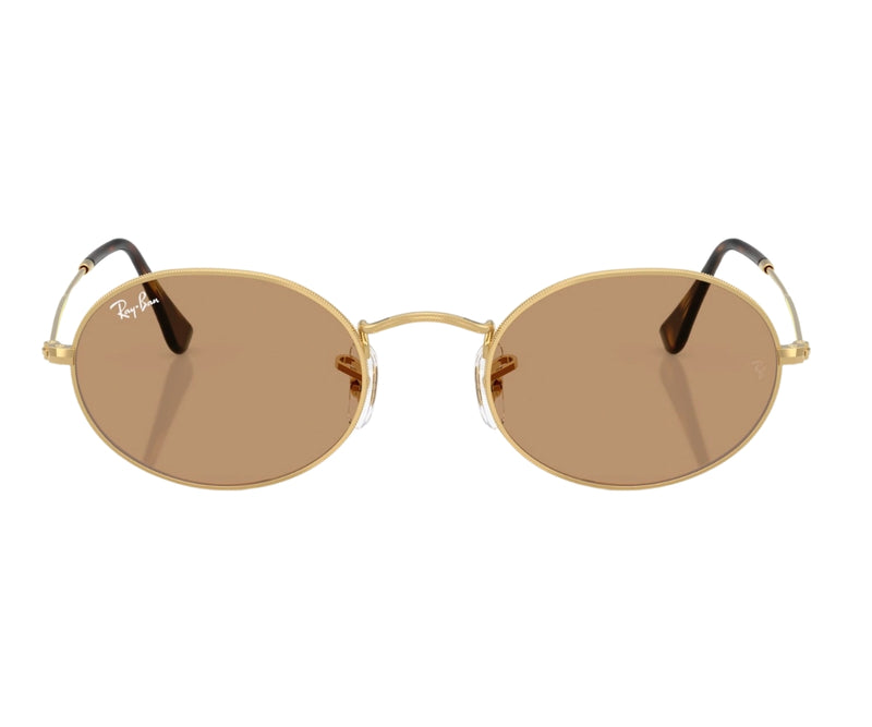 Rayban_Sunglasses_Oval_3547_001/53_51_0