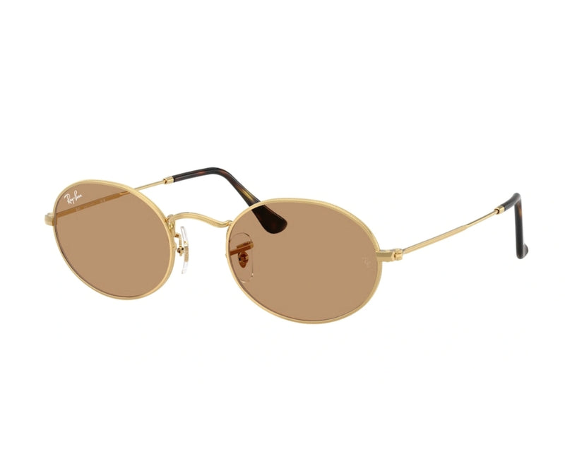 Rayban_Sunglasses_Oval_3547_001/53_51_3045