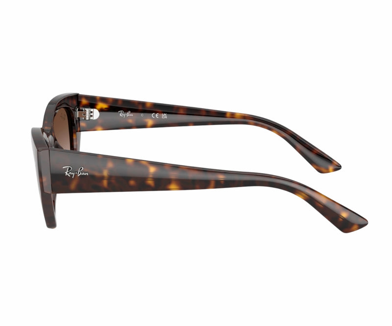 Rayban_Sunglasses_4430_1359/13_52_90