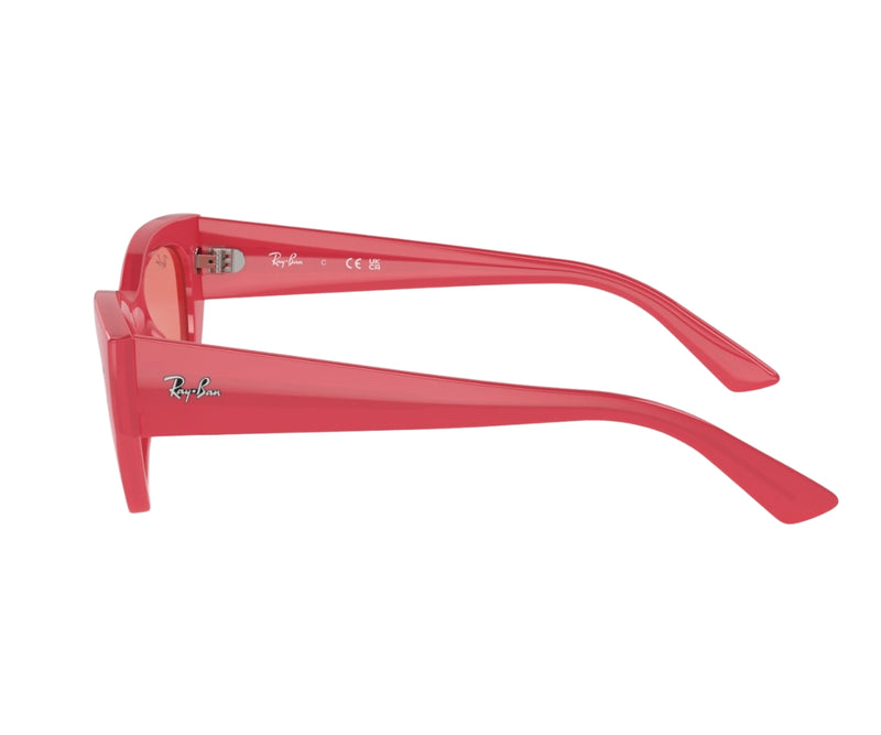 Rayban_Sunglasses_Zena_4430_6760/84_49_90