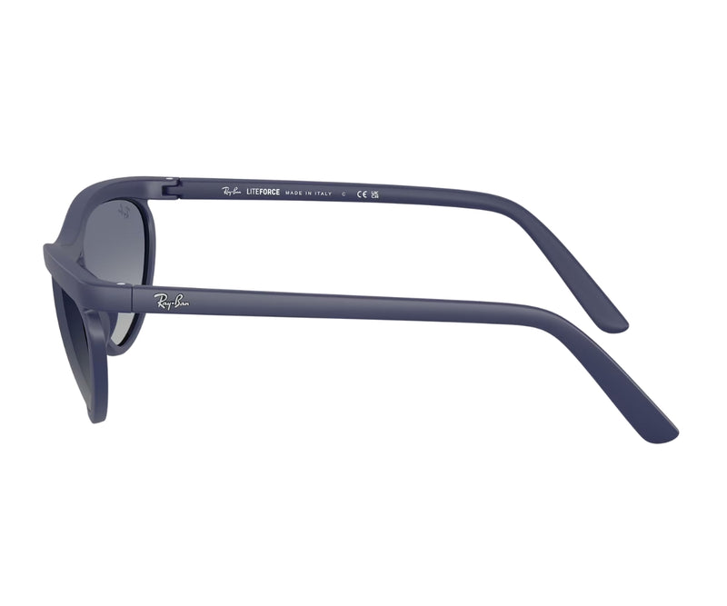 Rayban_Sunglasses_4453_6015/4L_59_90