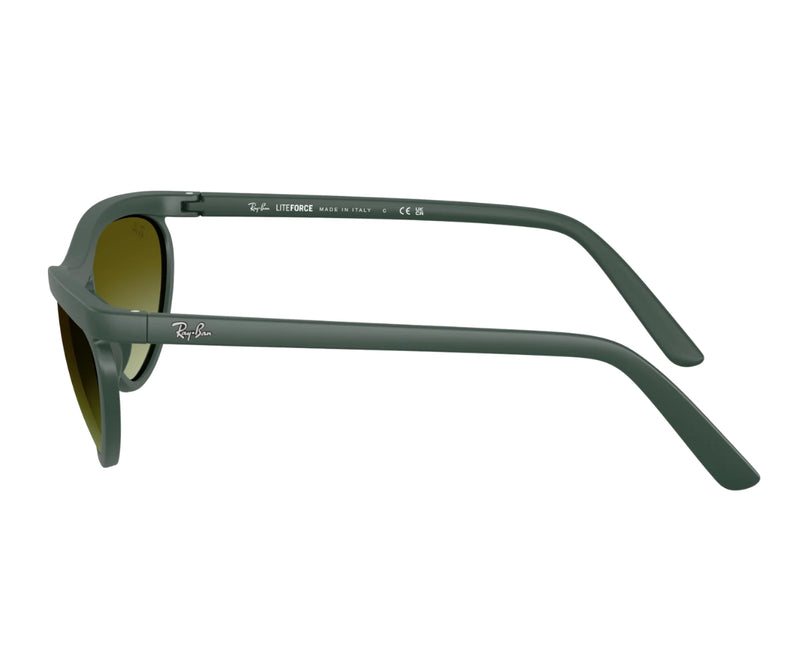 Rayban_Sunglasses_4453_6016/E8_59_90