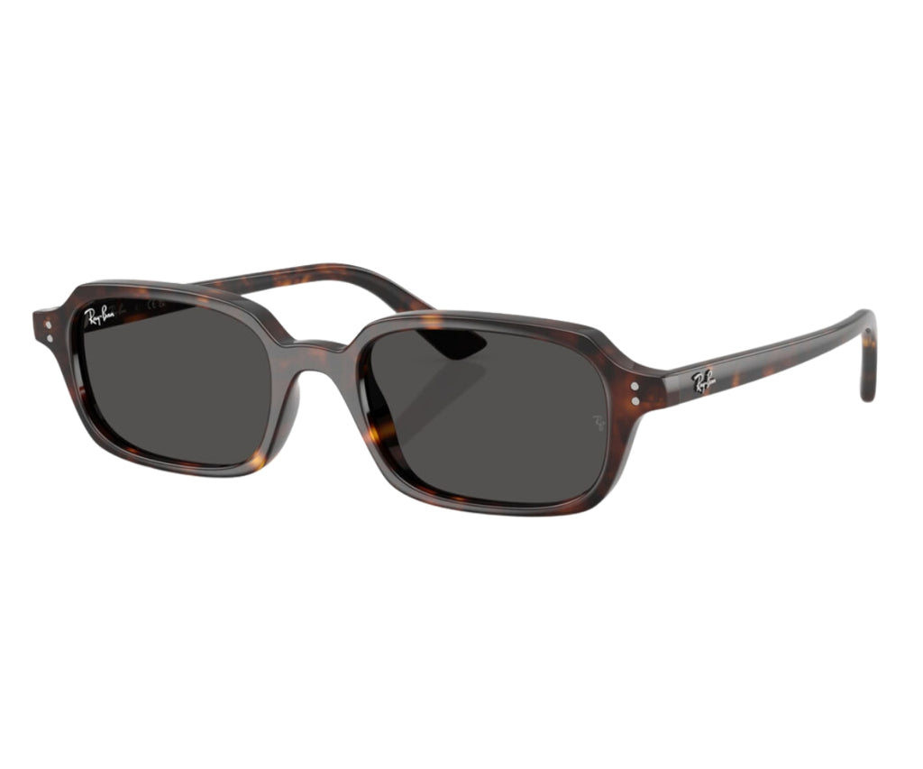 Buy Rayban Sunglasses Zuri 4455 1359/87 52 | GEM OPTICIANS – GEM