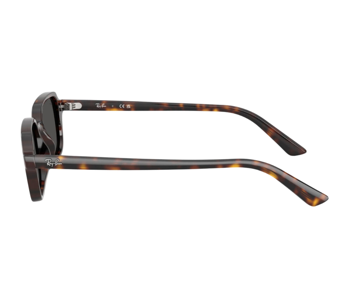 Buy Rayban Sunglasses Zuri 4455 1359/87 52 | GEM OPTICIANS – GEM