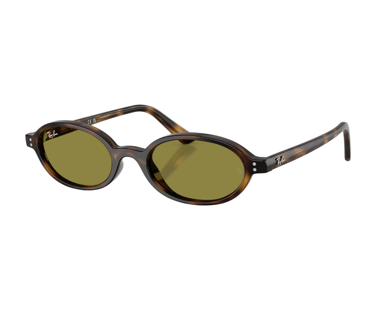 Rayban_Sunglasses_4472_1359/2_51_45