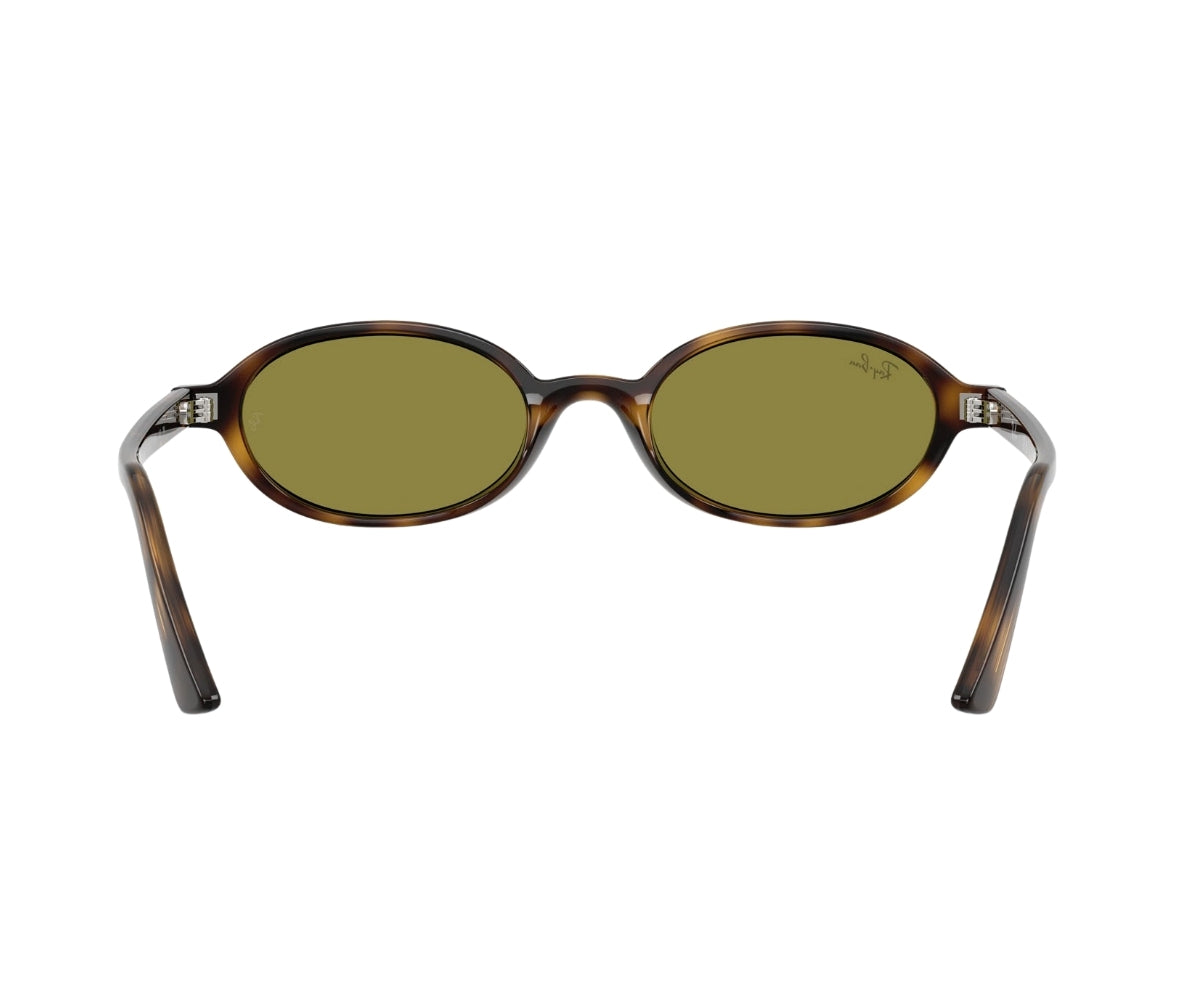 Rayban_Sunglasses_4472_1359/2_51_backlens