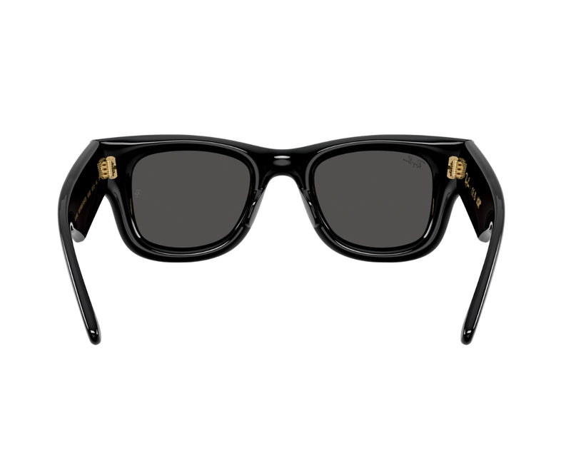 Rayban_Sunglasses_Wayfarer Puffer_4940_601/87_50_back lens