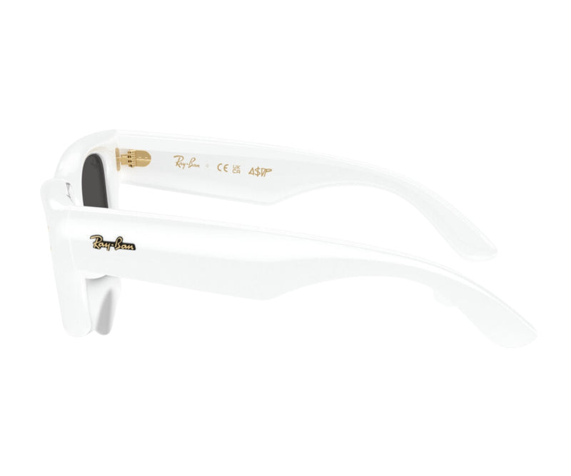 Rayban_Sunglasses_Wayfarer Puffer_4940_671/87_50_90