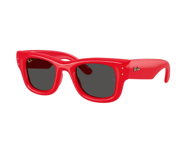 Rayban_Sunglasses_Wayfarer Puffer_4940_6831/87_50_3045