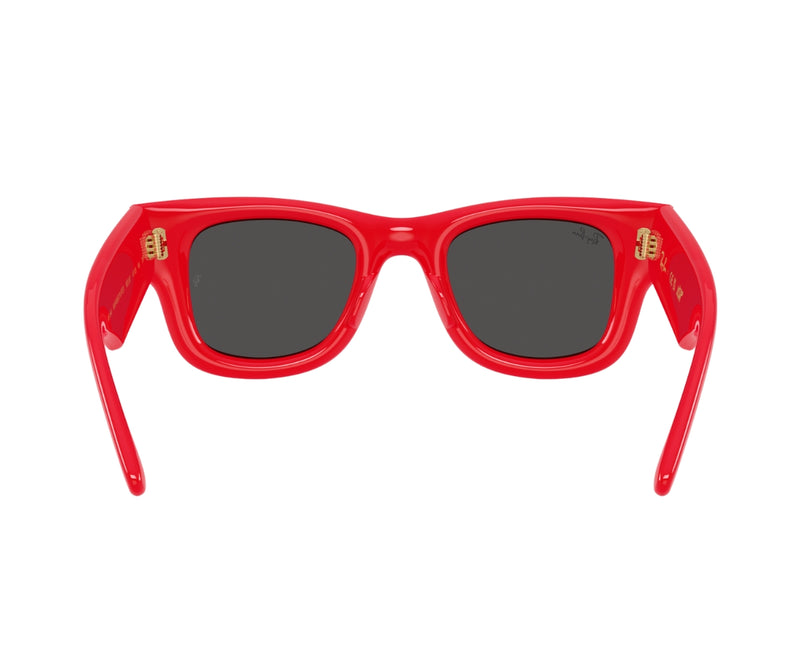 Rayban_Sunglasses_Wayfarer Puffer_4940_6831/87_50_back lens