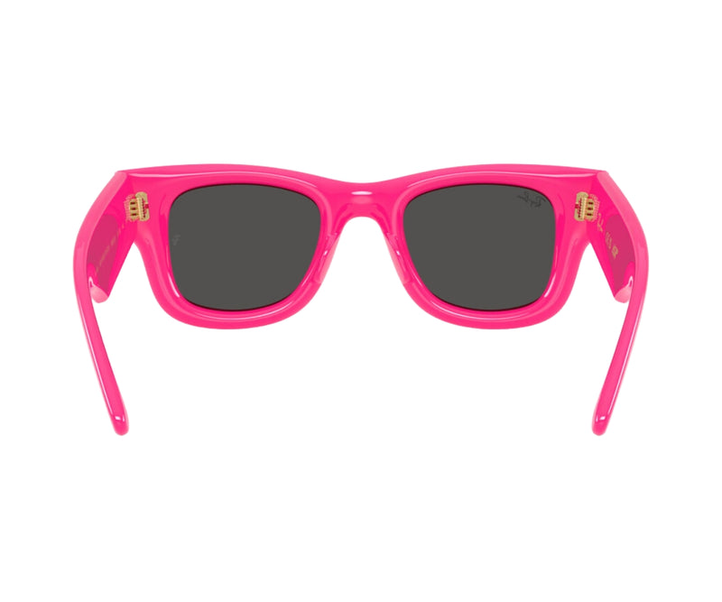 Rayban_Sunglasses_Wayfarer Puffer_4940_6832/87_47_back lens