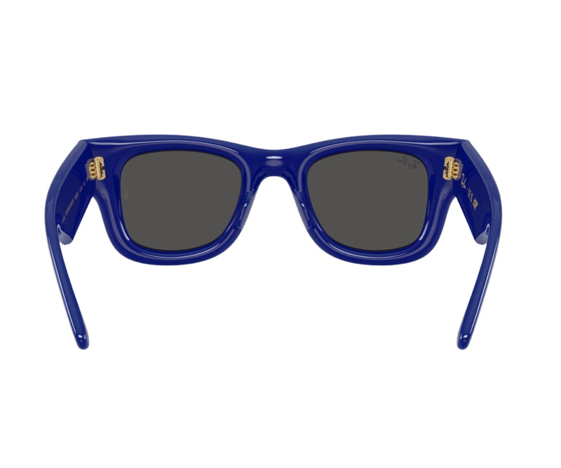 Rayban_Sunglasses_Wayfarer Puffer_4940_6833/87_50_back lens