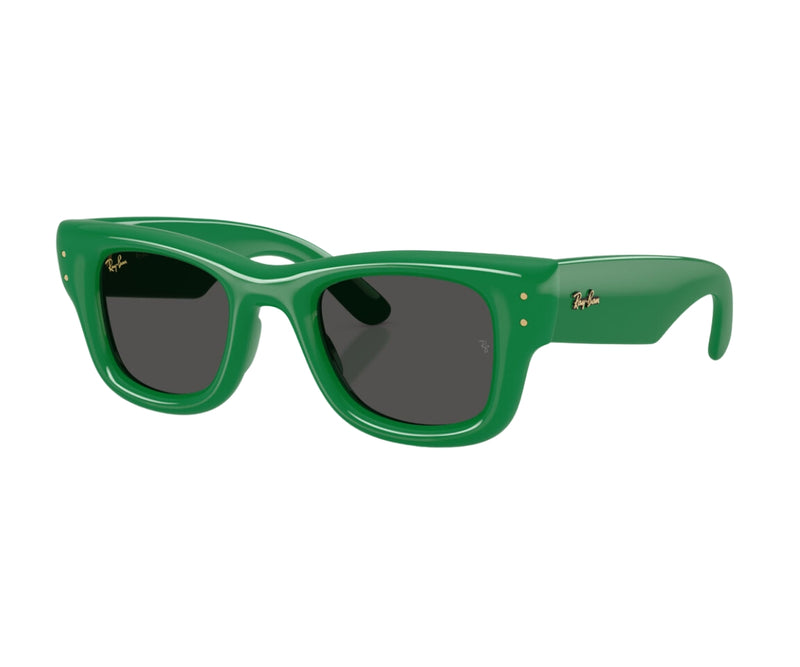 Rayban_Sunglasses_Wayfarer Puffer_4940_6834/87_50_3045