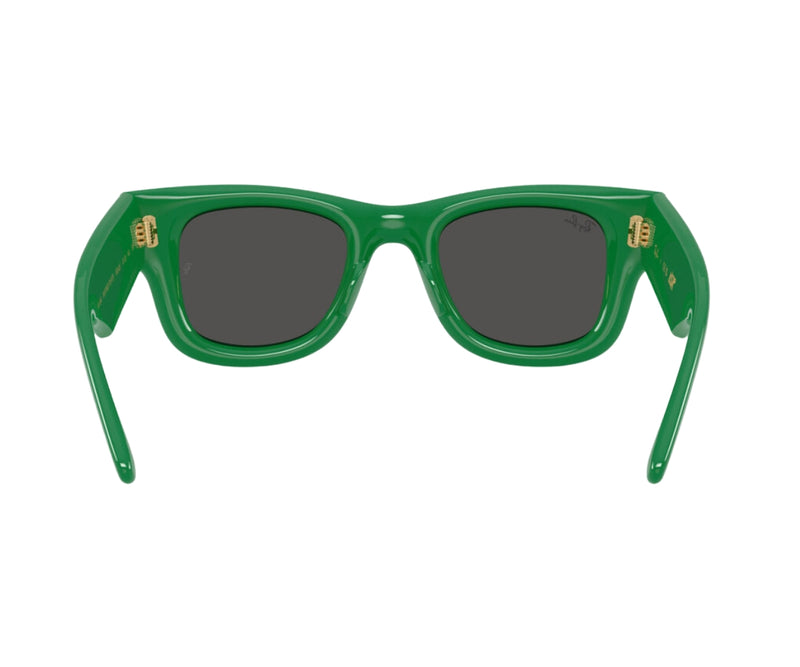 Rayban_Sunglasses_Wayfarer Puffer_4940_6834/87_50_back lens