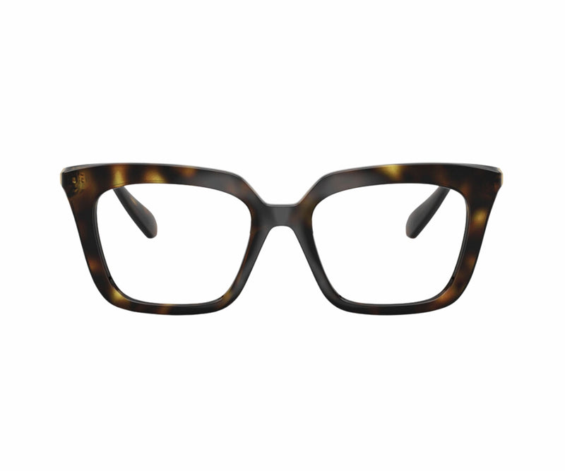 Swarovski_Glasses_2043_1002_51_0