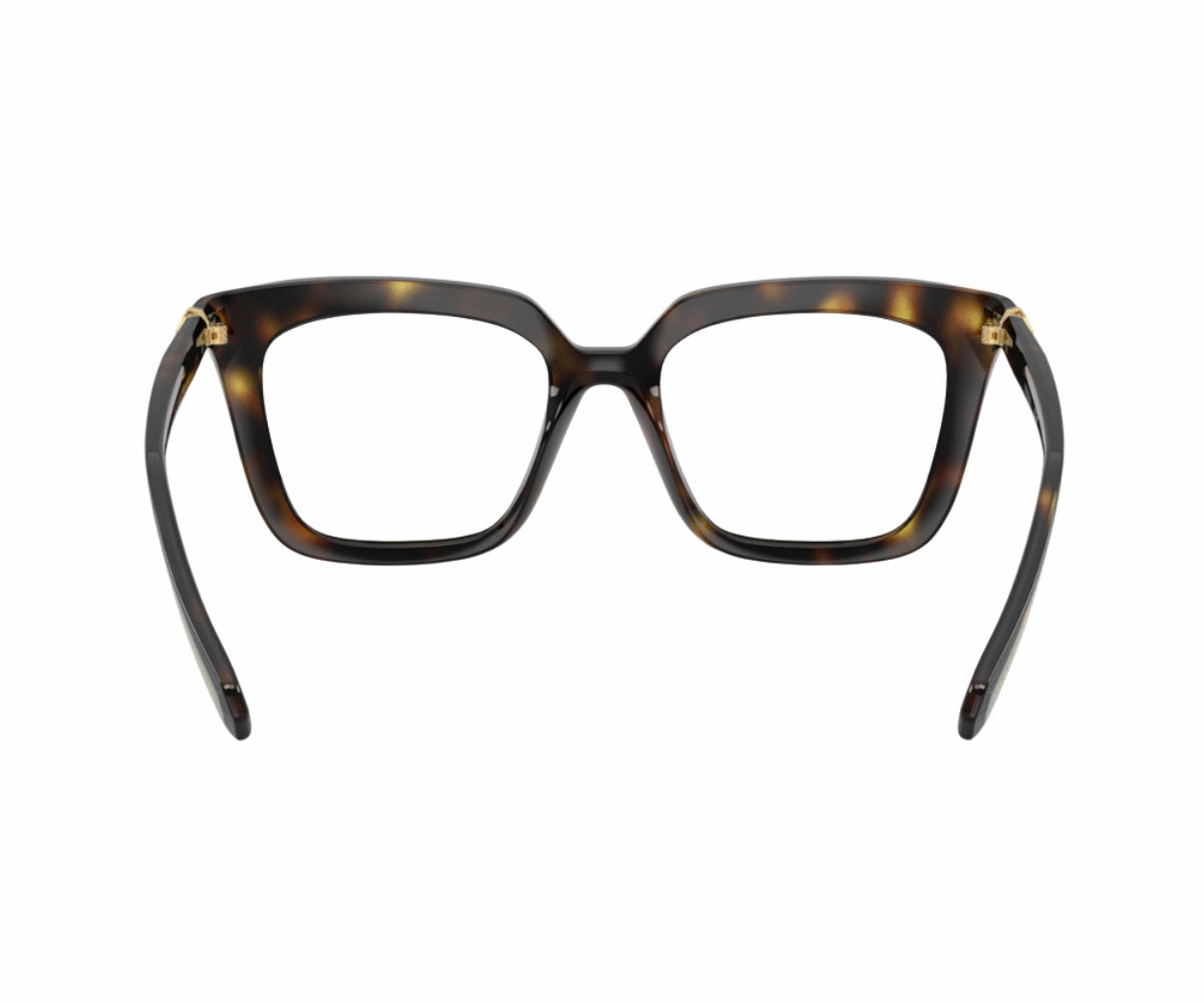 Swarovski_Glasses_2043_1002_51_back lens