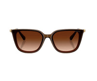 Swarovski_Sunglasses_6054D_1084/74_63_0 view 2