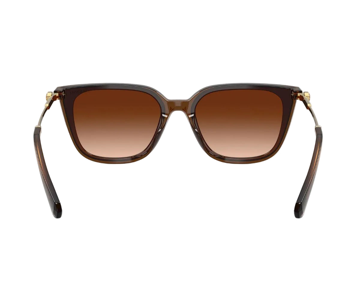Swarovski_Sunglasses_6054D_1084/74_63_backlens