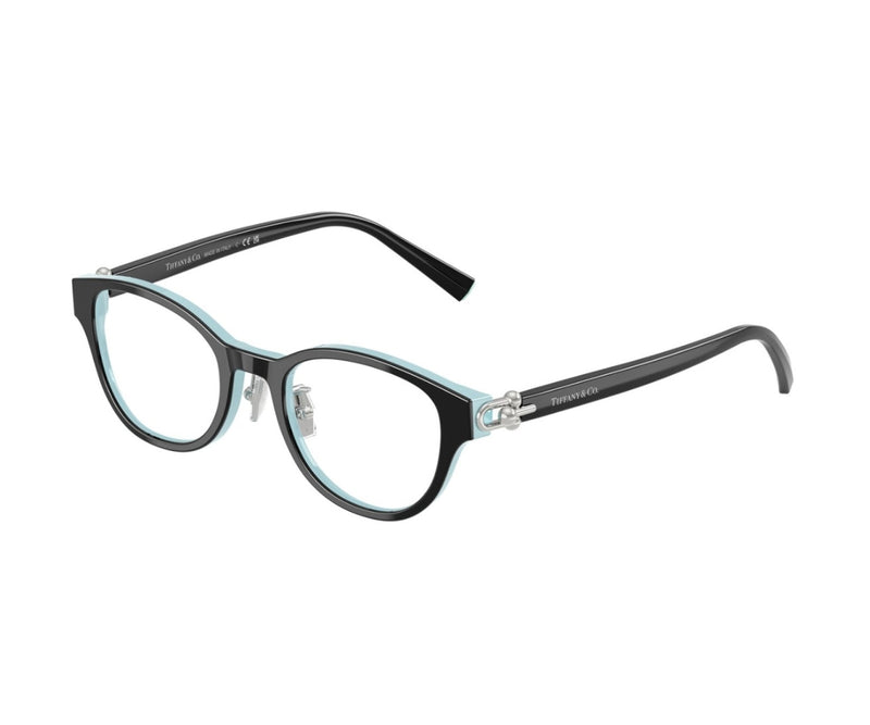 Tiffany & Co._Glasses_2273D_8055_48_3045