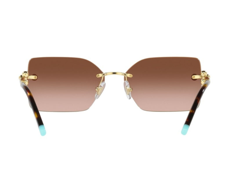 Tiffany & Co._Sunglasses_3088_6177/3B_59_back lens