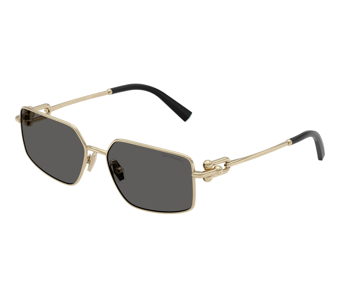 Tiffany & Co._Sunglasses_3111_6021/S4_58_3045