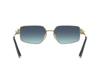 Tiffany & Co._Sunglasses_3111_6202/9S_58_backlens view 5