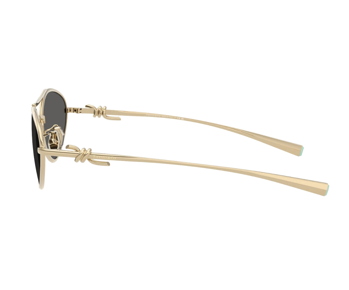 Tiffany & Co._Sunglasses_3117_6021/S4_58_90