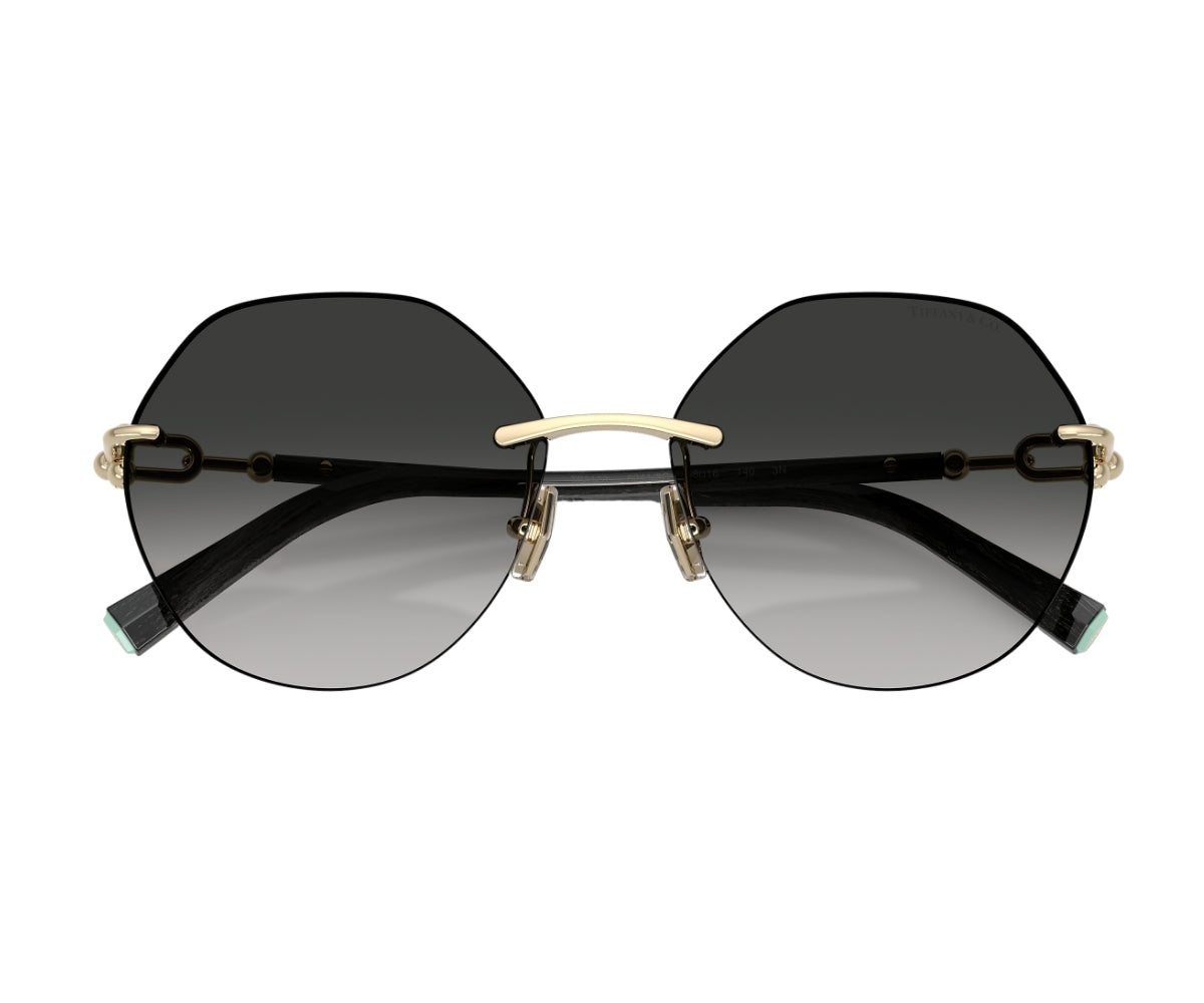 Tiffany & Co._Sunglasses_TF3123_6241/3C_58_00