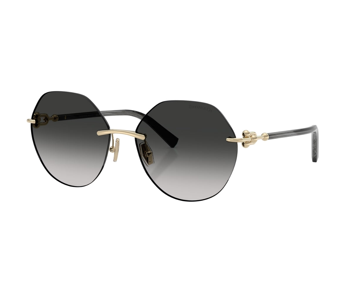 Tiffany & Co._Sunglasses_TF3123_6241/3C_58_3045