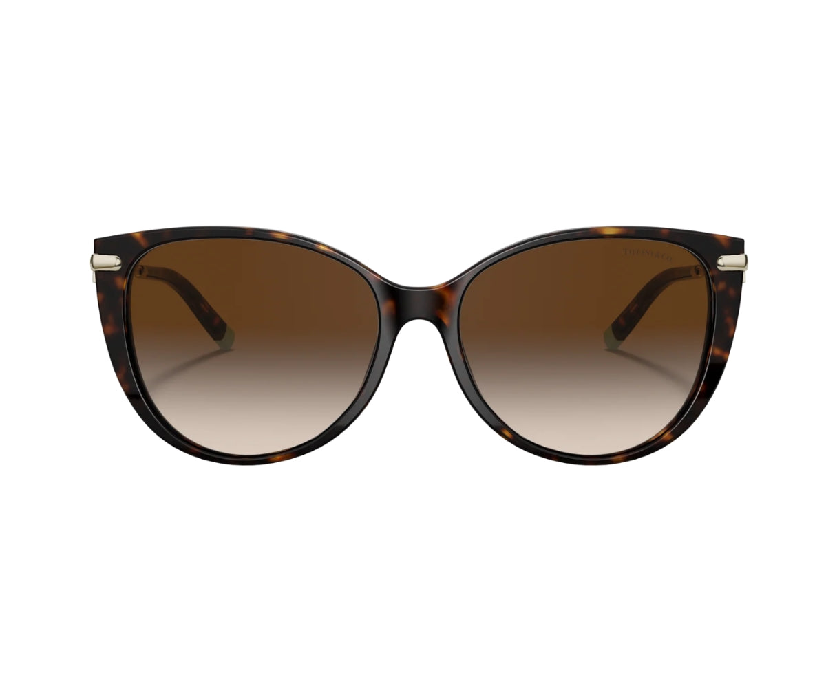 Tiffany & Co._Sunglasses_4178_8015/3B_57_00