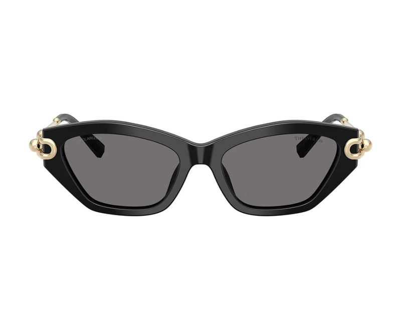 Tiffany & Co._Sunglasses_4231U_8001/81_53_0