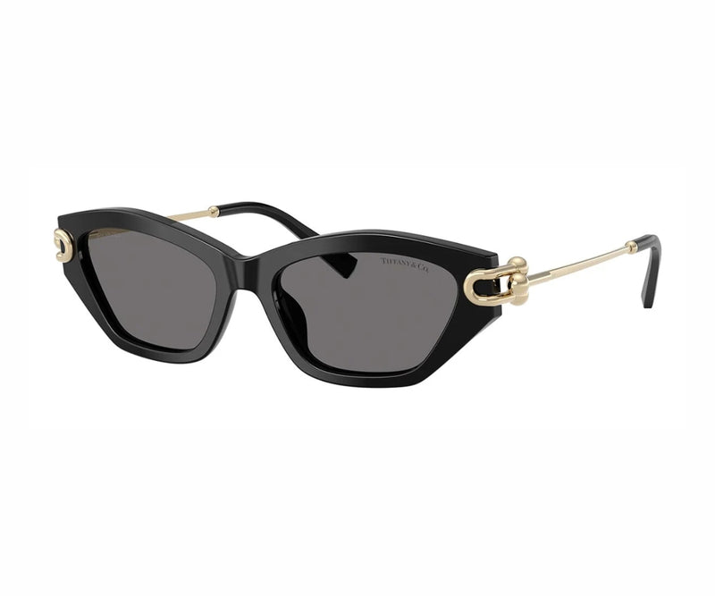 Tiffany & Co._Sunglasses_4231U_8001/81_53_3045