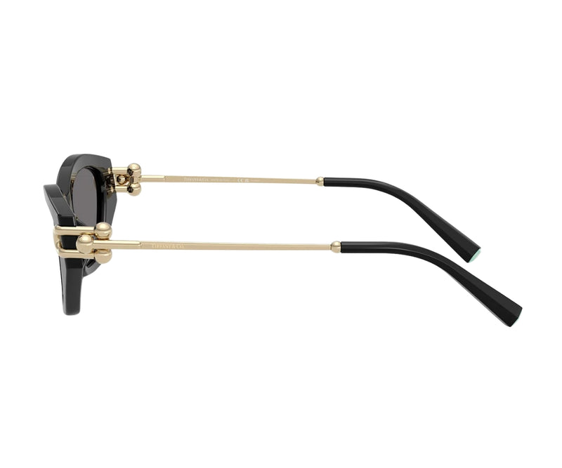 Tiffany & Co._Sunglasses_4231U_8001/81_53_90