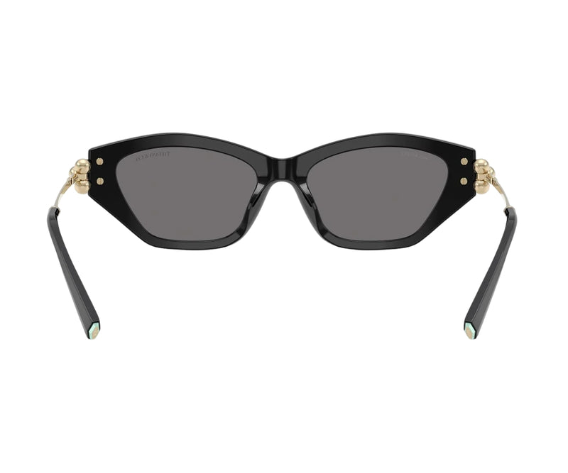 Tiffany & Co._Sunglasses_4231U_8001/81_53_back lens