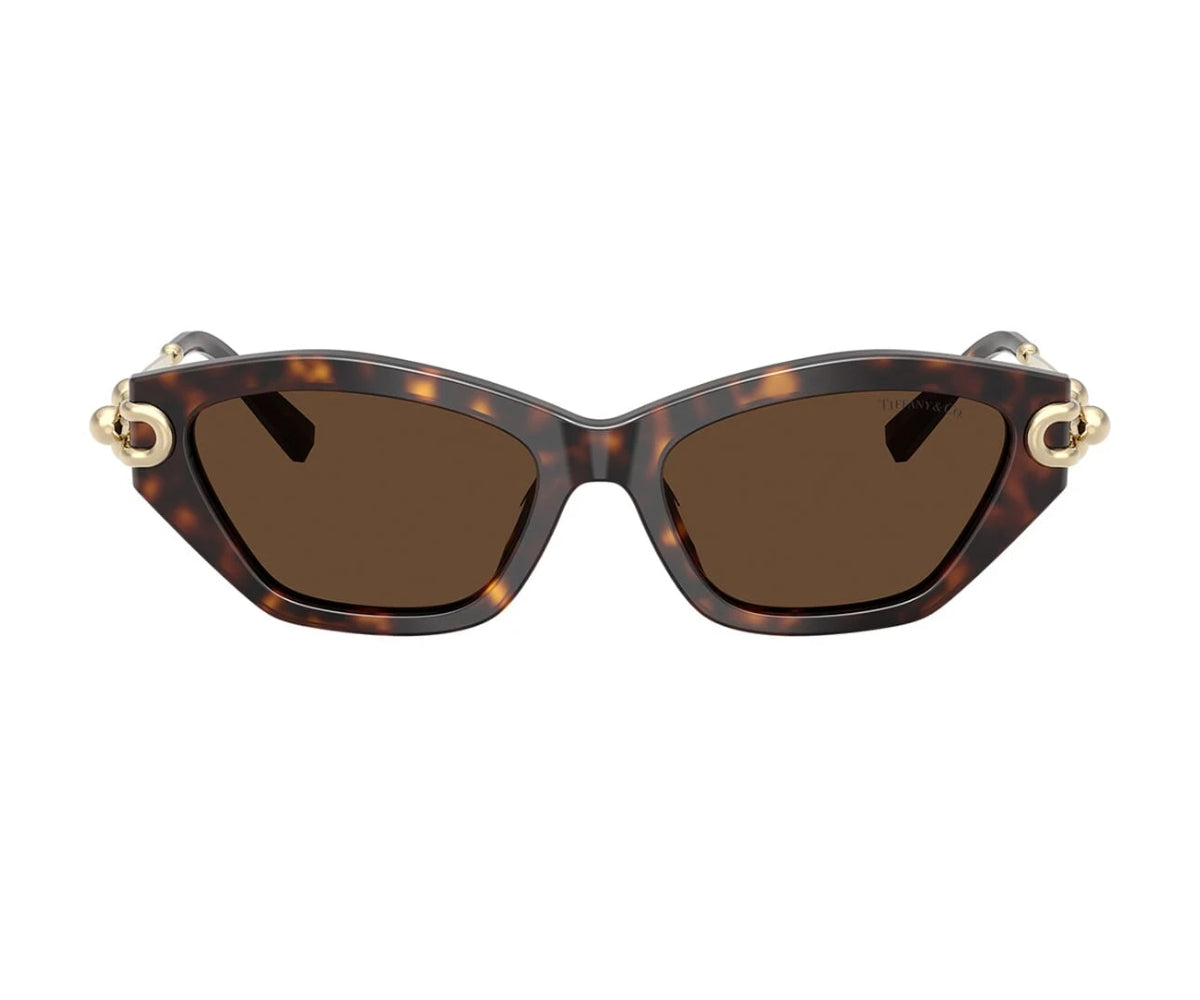 Buy Tiffany Sunglasses 4231U 8015/3G 53 GEM OPTICIANS