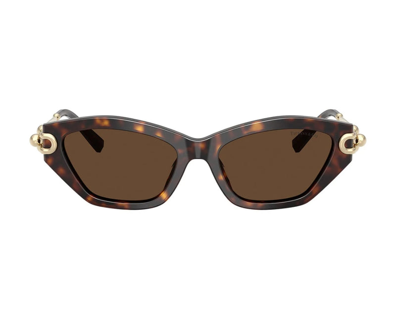 Tiffany & Co._Sunglasses_4231U_8015/3G_53_0