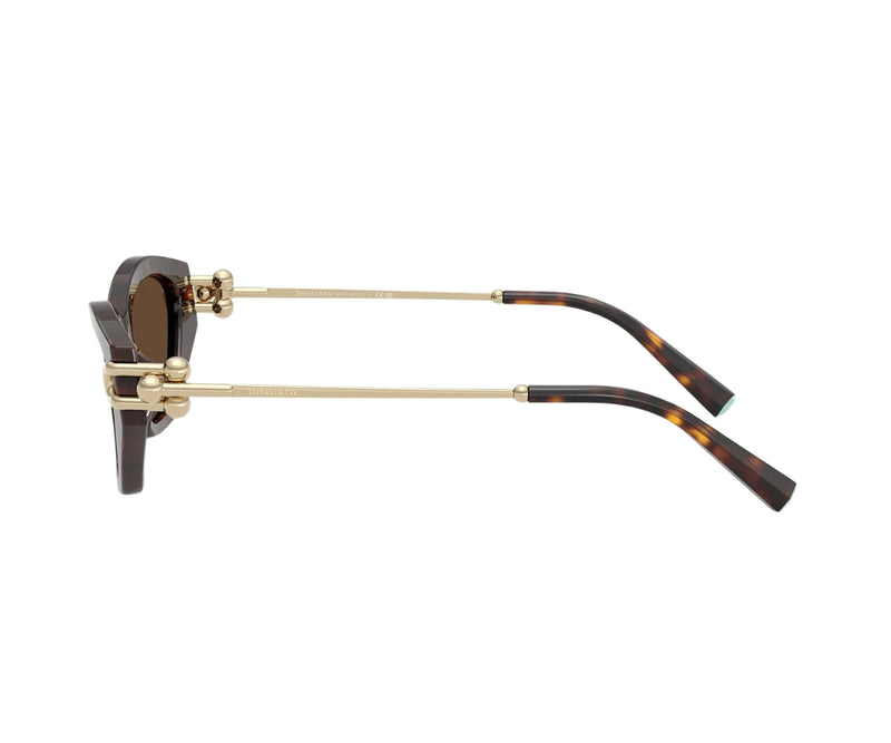 Tiffany & Co._Sunglasses_4231U_8015/3G_53_90