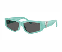 Tiffany & Co._Sunglasses_4234U_8388/S4_55_3045 view 1