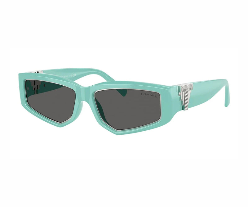 Tiffany & Co._Sunglasses_4234U_8388/S4_55_3045