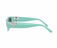 Tiffany & Co._Sunglasses_4234U_8388/S4_55_90 view 4