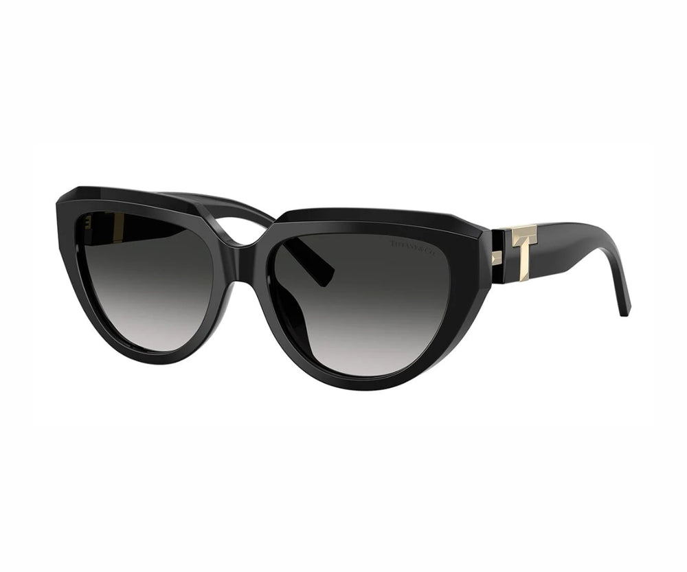 Tiffany & Co. TF4238U sunglasses as worn by Meryl Streep