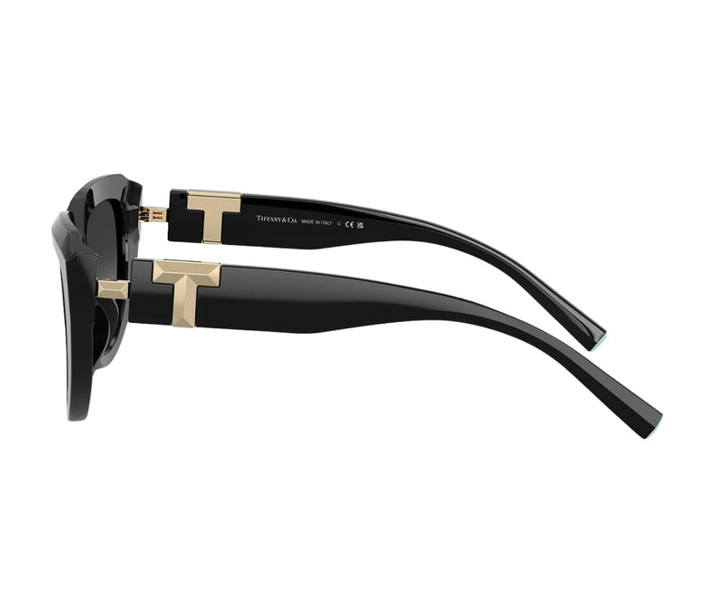 Tiffany & Co._Sunglasses_4238U_8001/3C_55_90