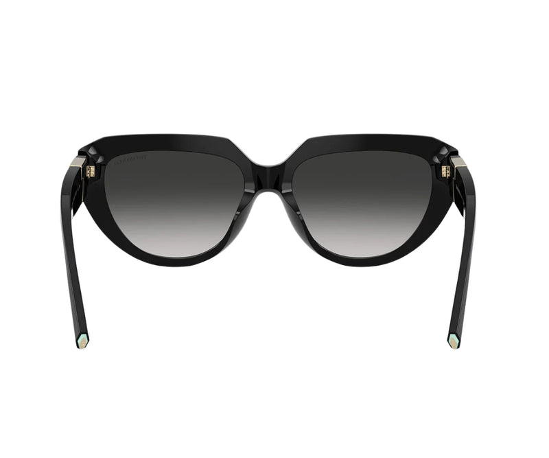 Tiffany & Co._Sunglasses_4238U_8001/3C_55_back lens